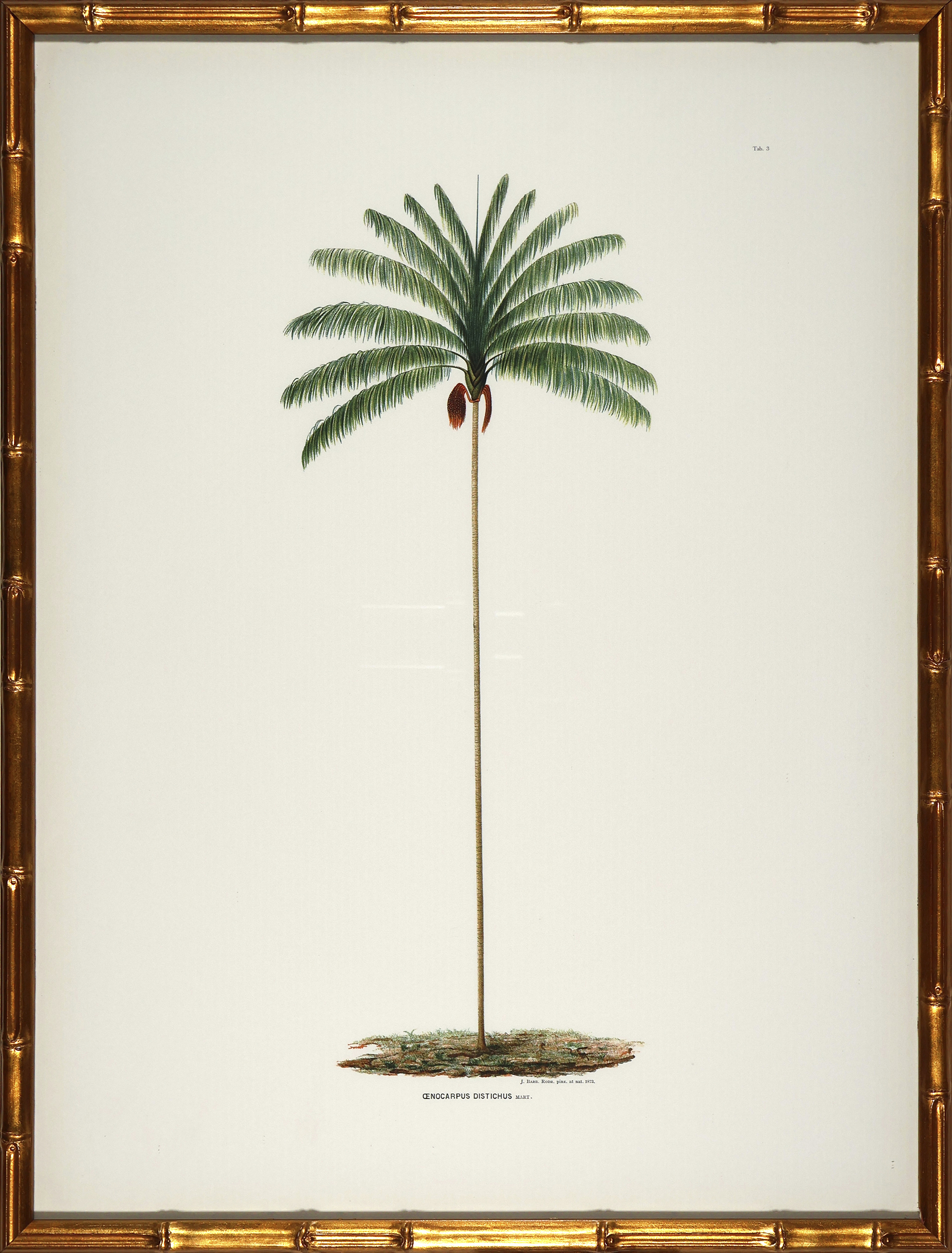 Palm Trees in Gold Bamboo